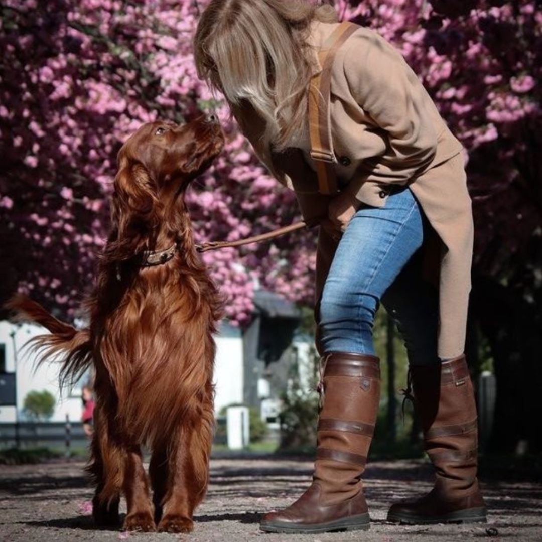 Dubarry Women's Galway Country Boot in Walnut