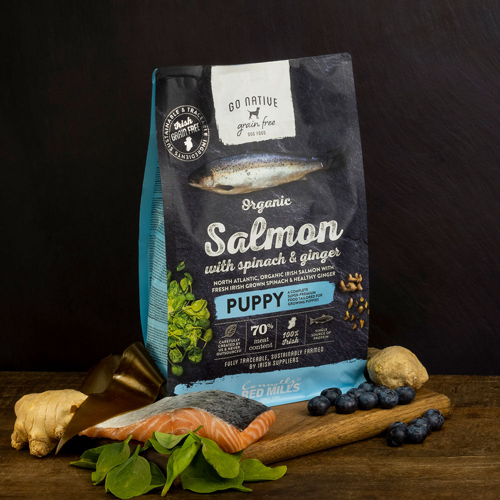 Go Native Puppy with Organic Salmon, Spinach & Ginger