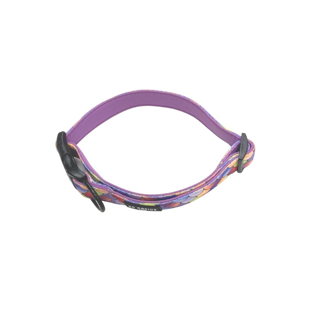 Go Native Dog Collar in Mermaid Print