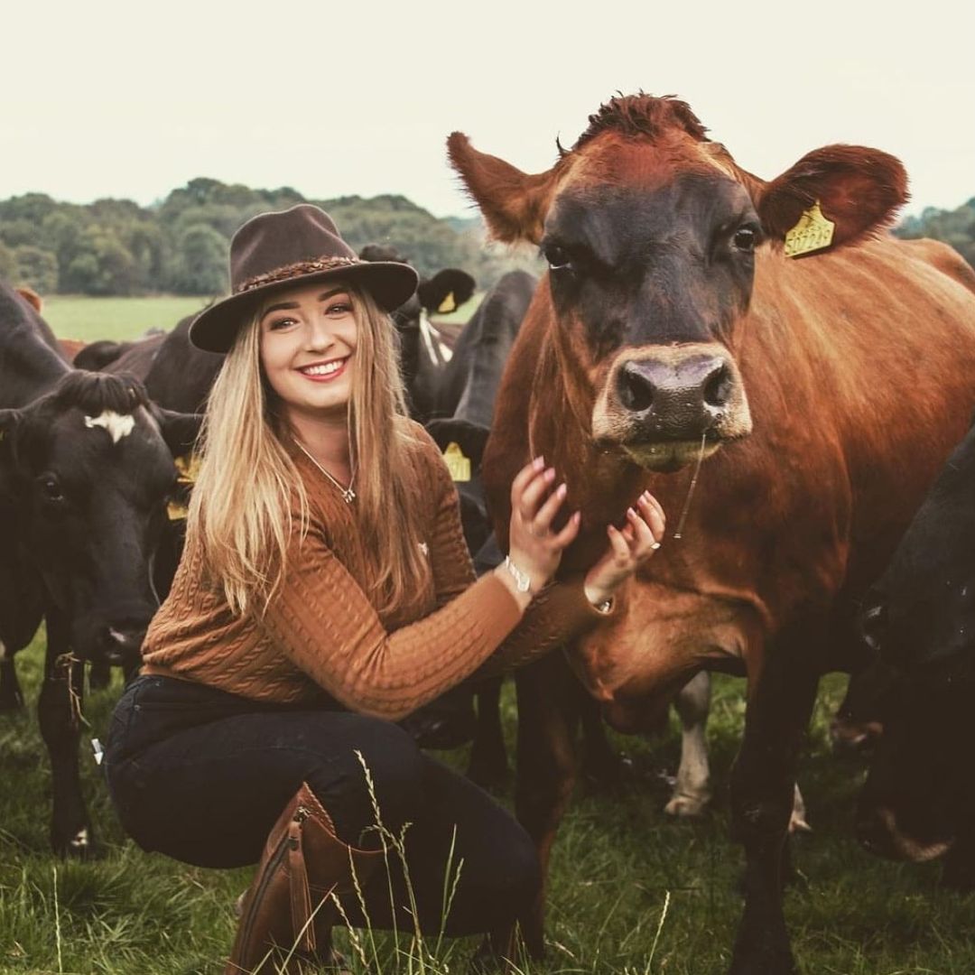 Hicks & Brown Suffolk Fedora in Dark Brown with Pheasant Feather Wrap
