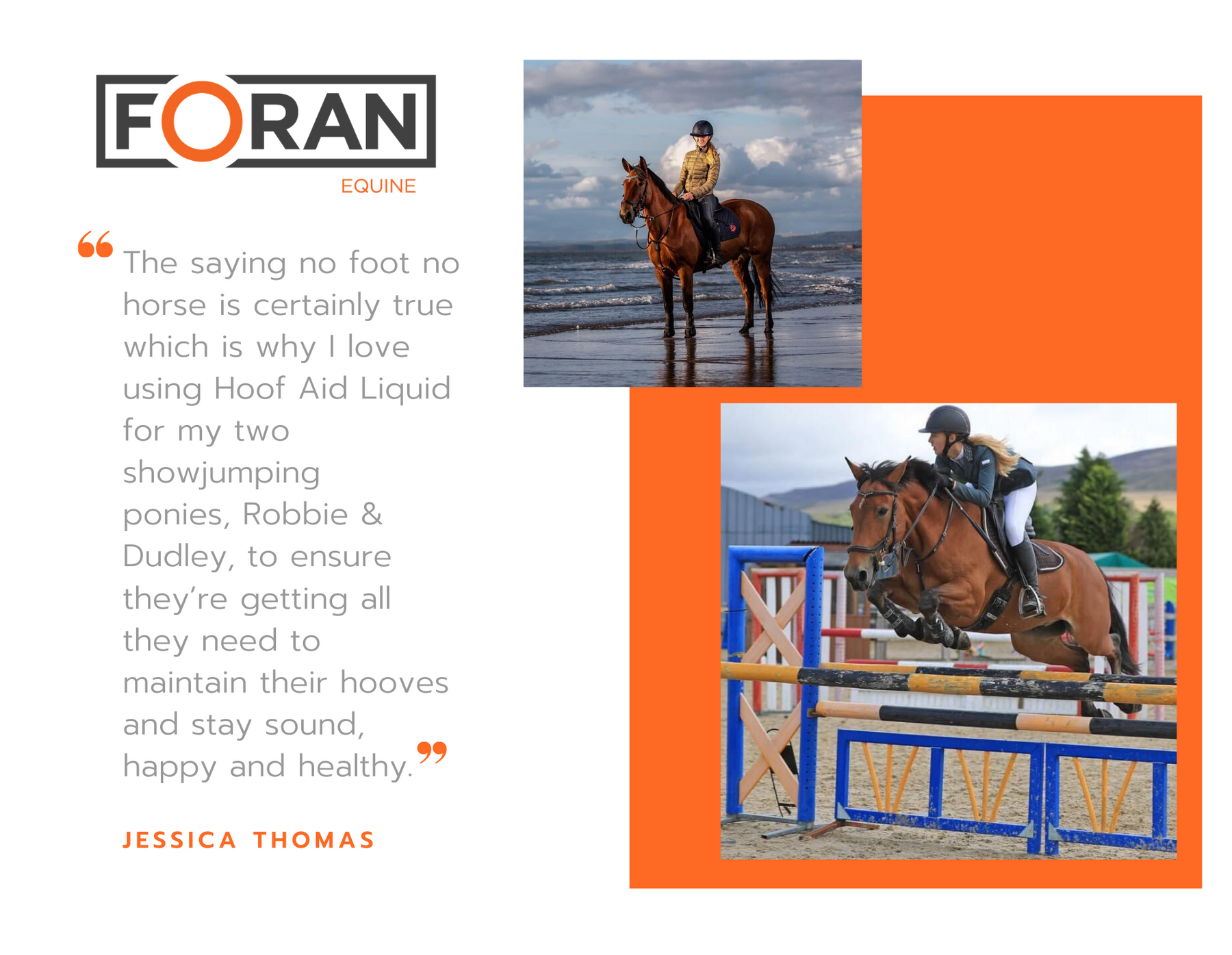 Foran Equine Hoof Aid Liquid