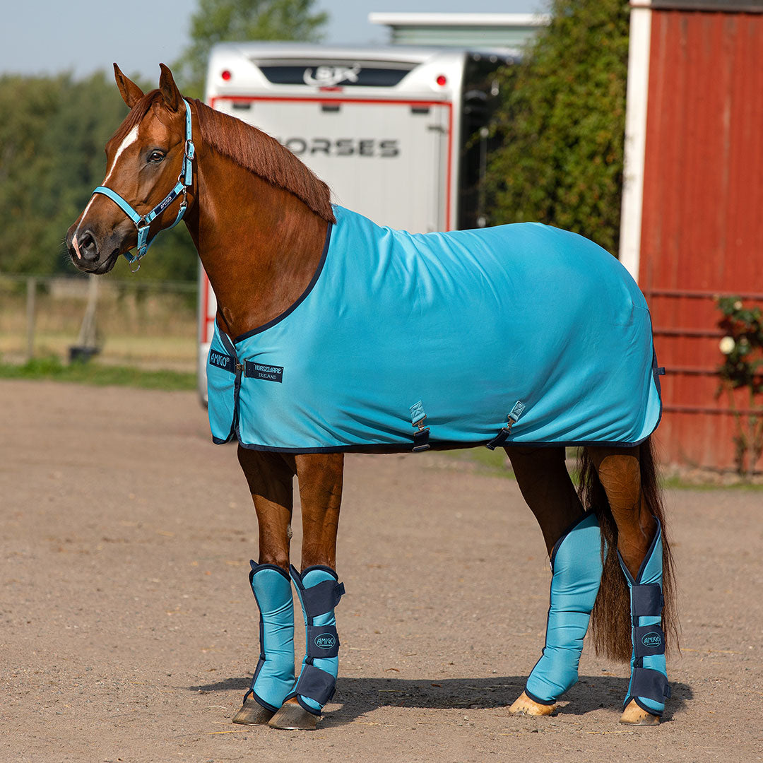 Horseware Amigo Jersey Cooler in Delphinium Blue & Navy