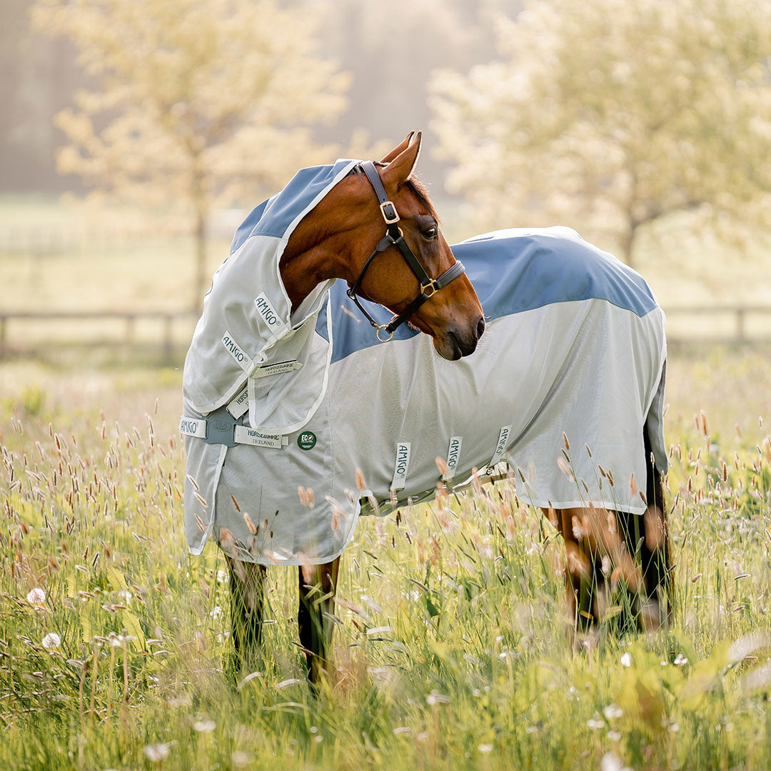 Horseware Amigo AmECO Combi Lite Rug in Teal & Grey (0g)