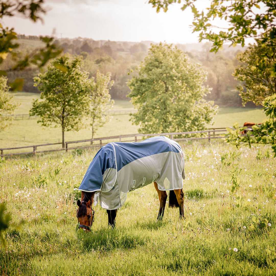 Horseware Amigo AmECO Combi Lite Rug in Teal & Grey (0g)