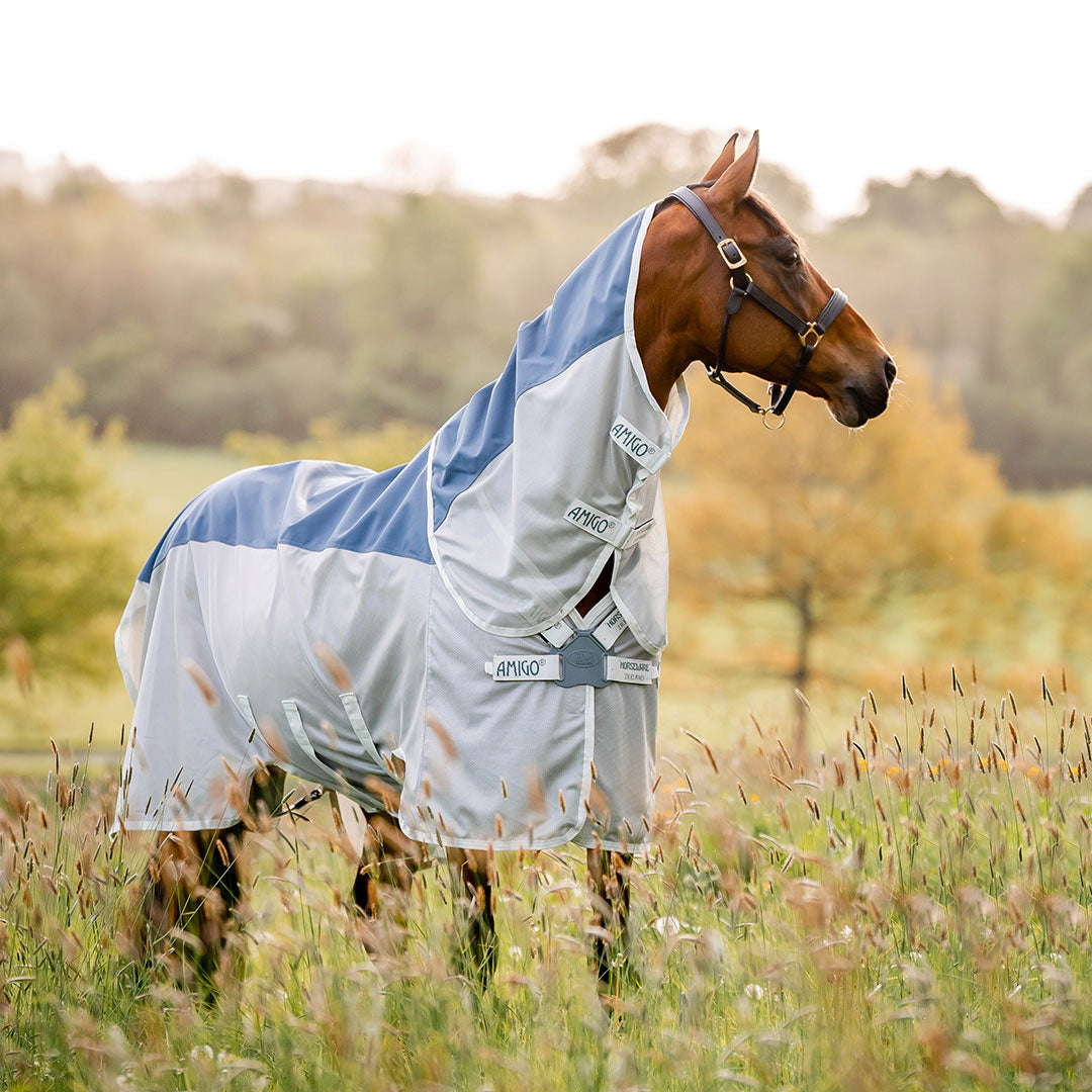 Horseware Amigo AmECO Combi Lite Rug in Teal & Grey (0g)