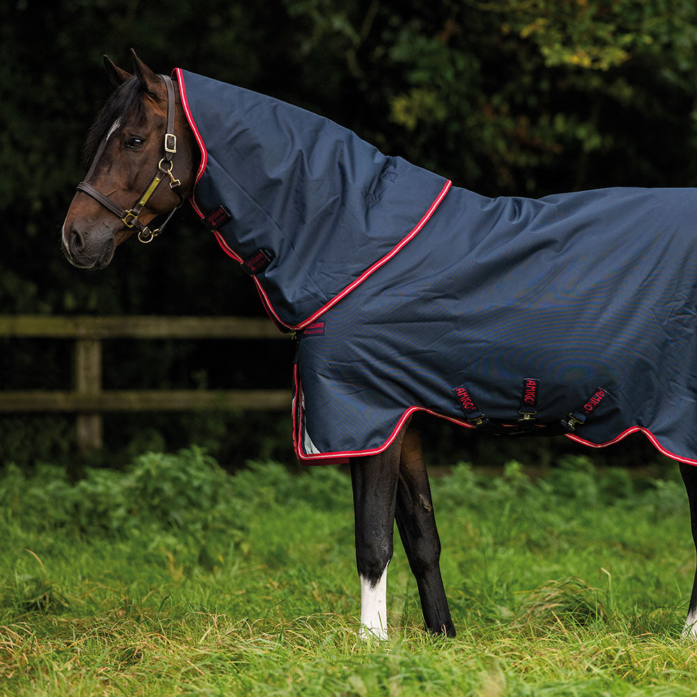 Horseware Amigo Bravo 12 Plus Medium Turnout Rug in Navy & Red (250g)