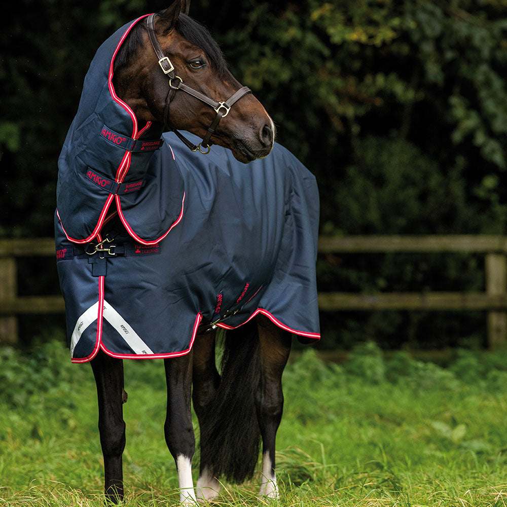 Horseware Amigo Bravo 12 Plus Medium Turnout Rug in Navy & Red (250g)