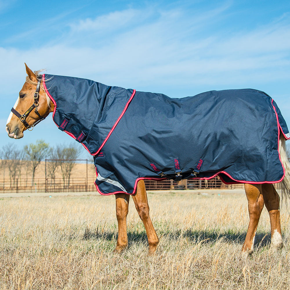 Horseware Amigo Bravo 12 Plus Medium Turnout Rug in Navy & Red (250g)