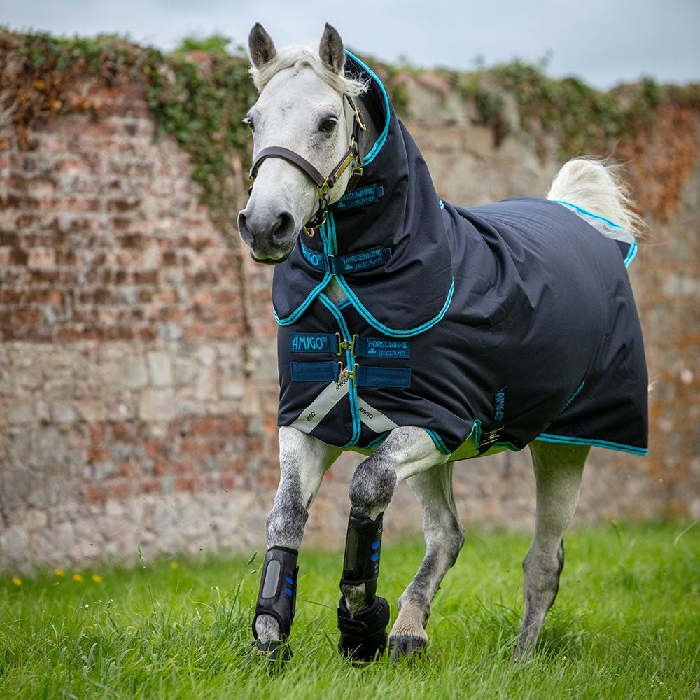 Horseware Amigo Bravo 12 Pony Plus Medium Turnout Rug in Navy & Electric Blue (250g)