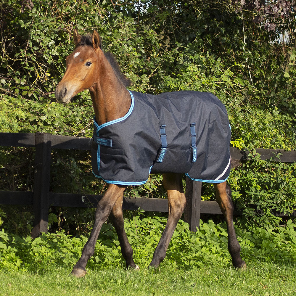 Horseware Amigo Ripstop Foal Medium Turnout Rug in Navy & Blue (200g)