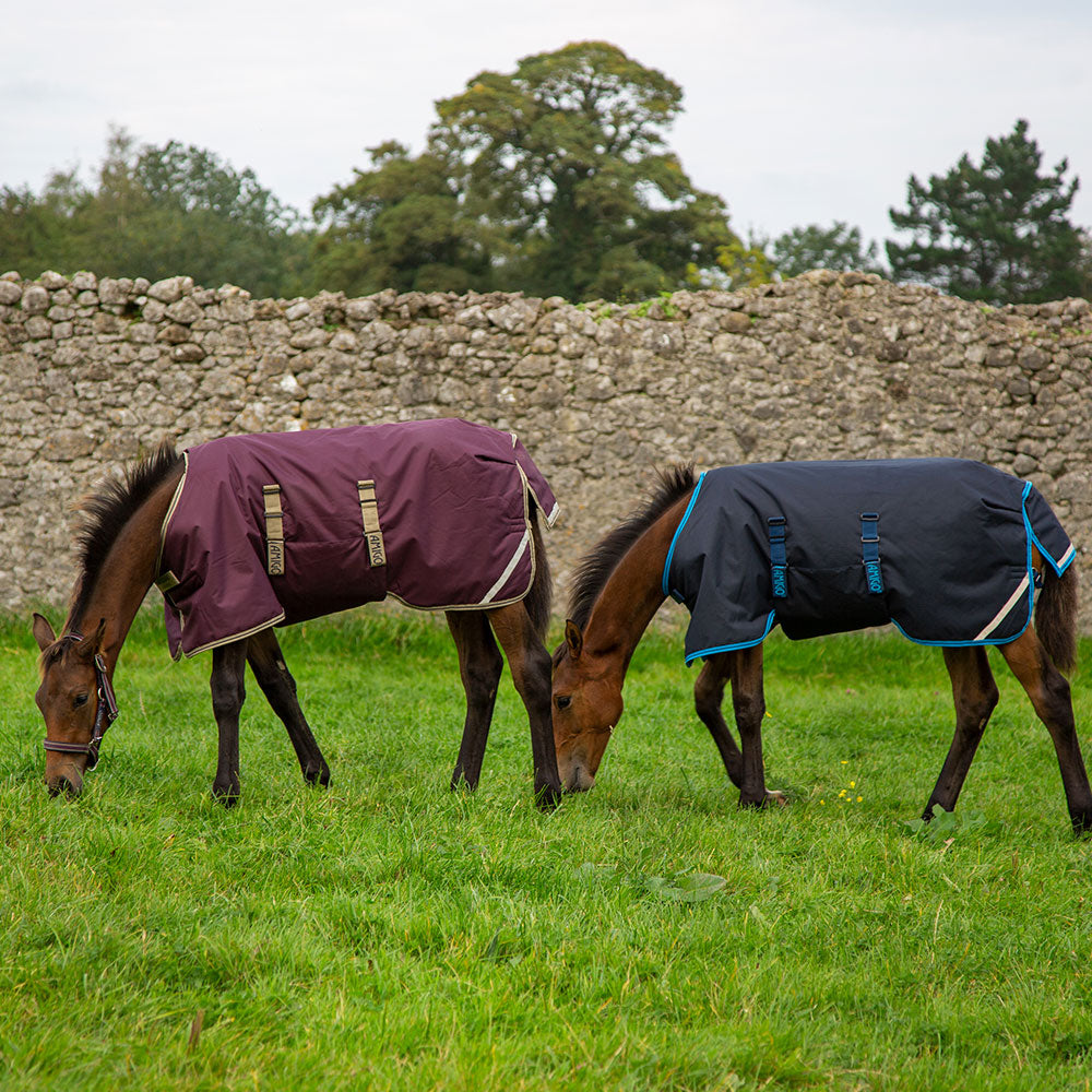 Horseware Amigo Ripstop Foal Medium Turnout Rug in Navy & Blue (200g)