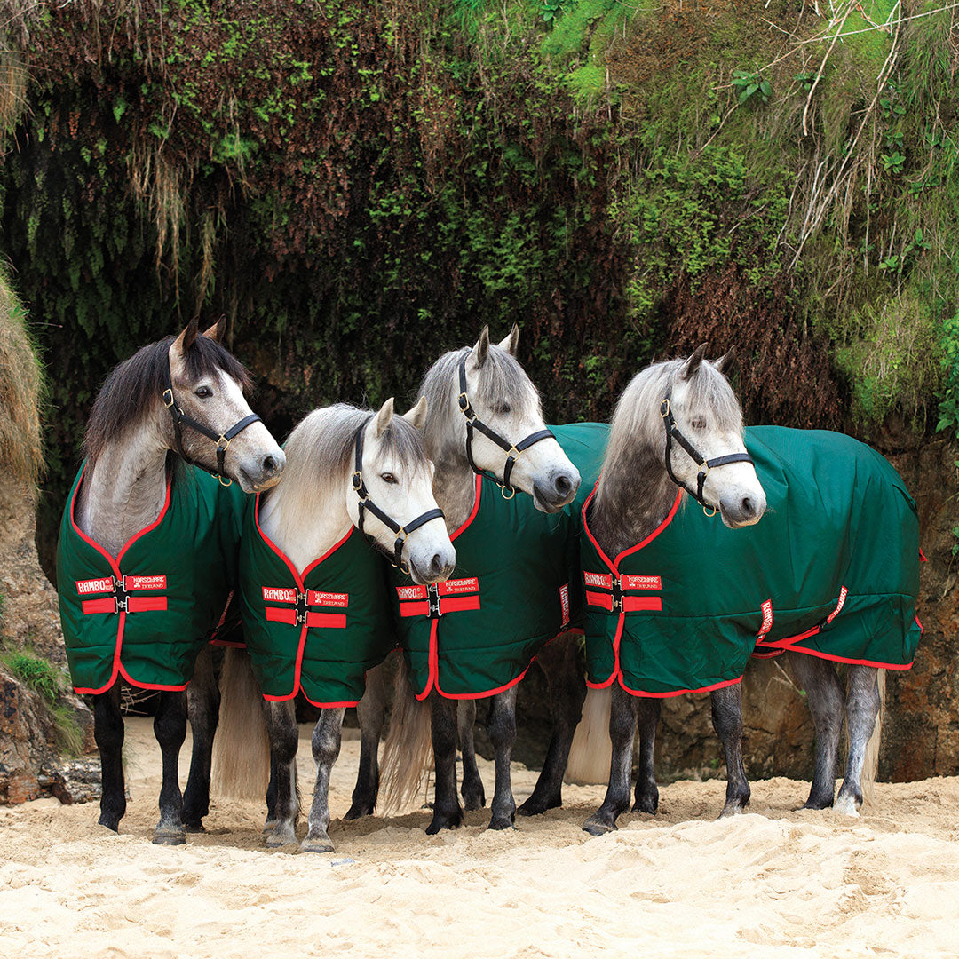Horseware Rambo Original Heavy Turnout Rug in Green/Red (400g)