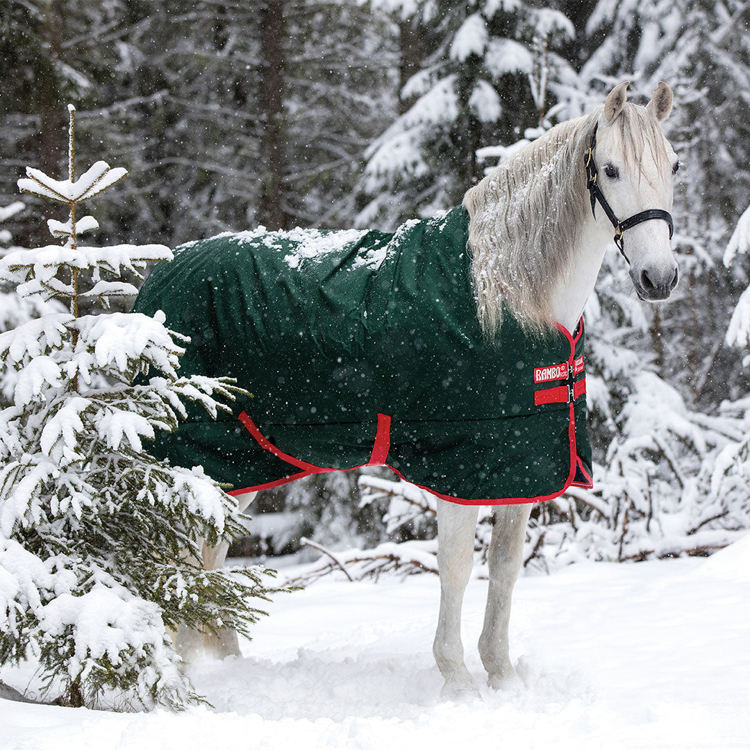 Horseware Rambo Original Heavy Turnout Rug in Green/Red (400g)