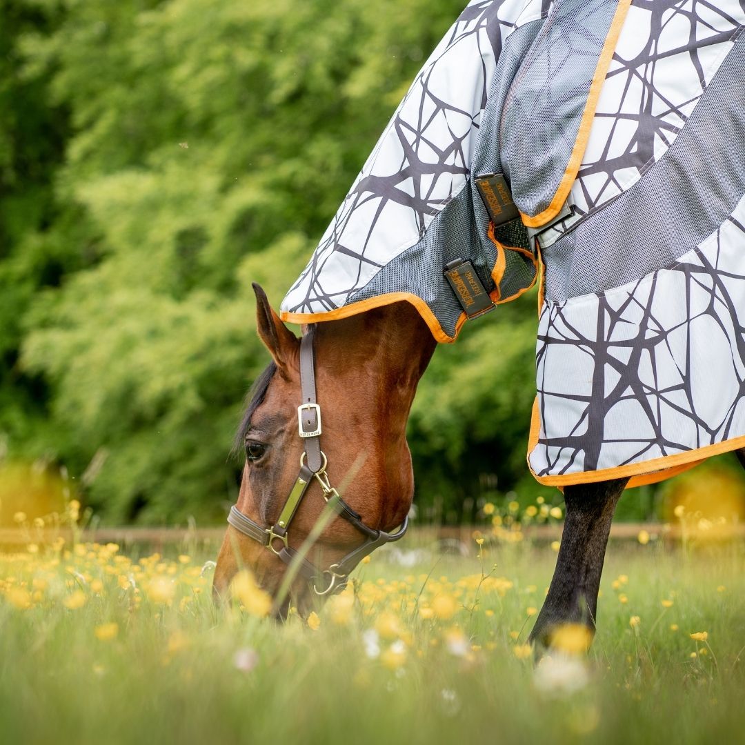 Horseware Amigo 3-in-1 CamoFly Fly Sheet in Grey & Orange (Fly Rug + Turnout Rug)