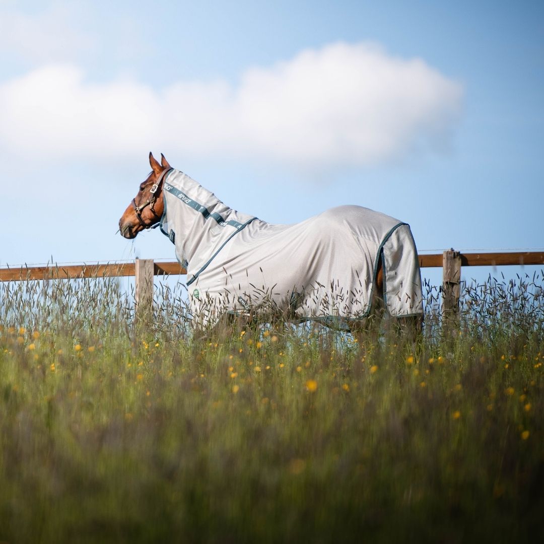 Horseware Amigo AmECO Bug Rug in Silver & Teal