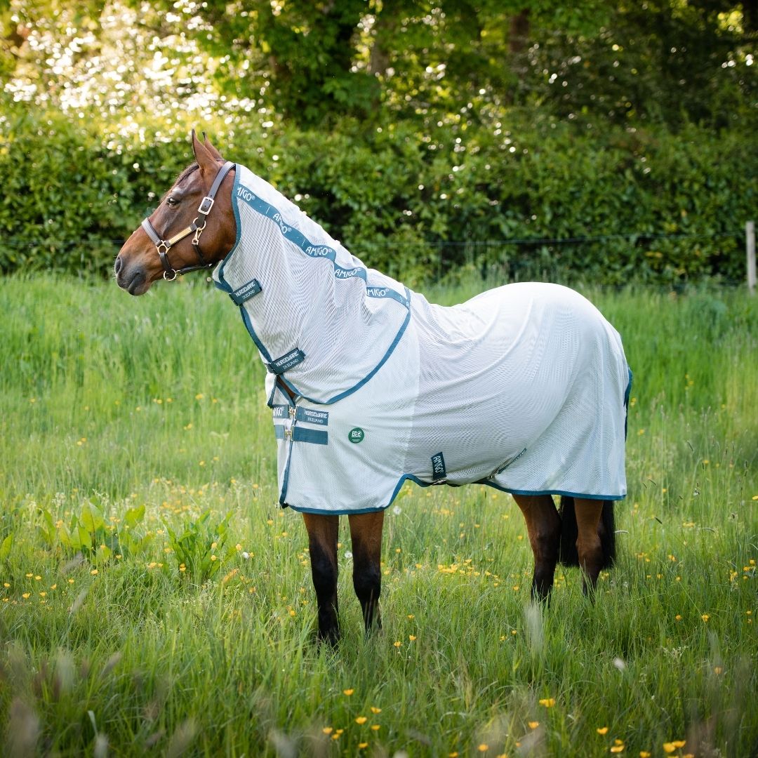 Horseware Amigo AmECO Bug Rug in Silver & Teal