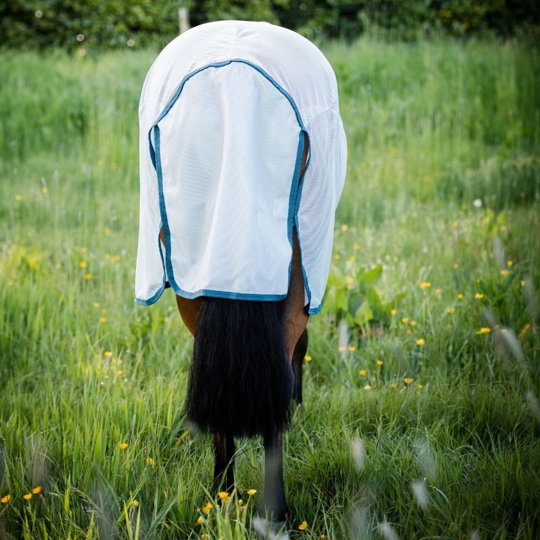 Horseware Amigo AmECO Bug Rug in Silver & Teal