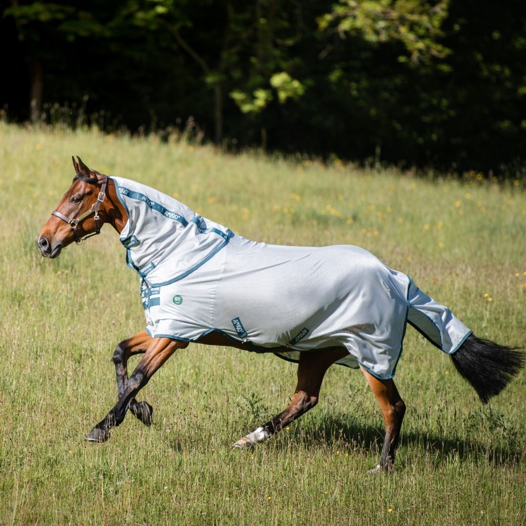 Horseware Amigo AmECO Bug Rug in Silver & Teal