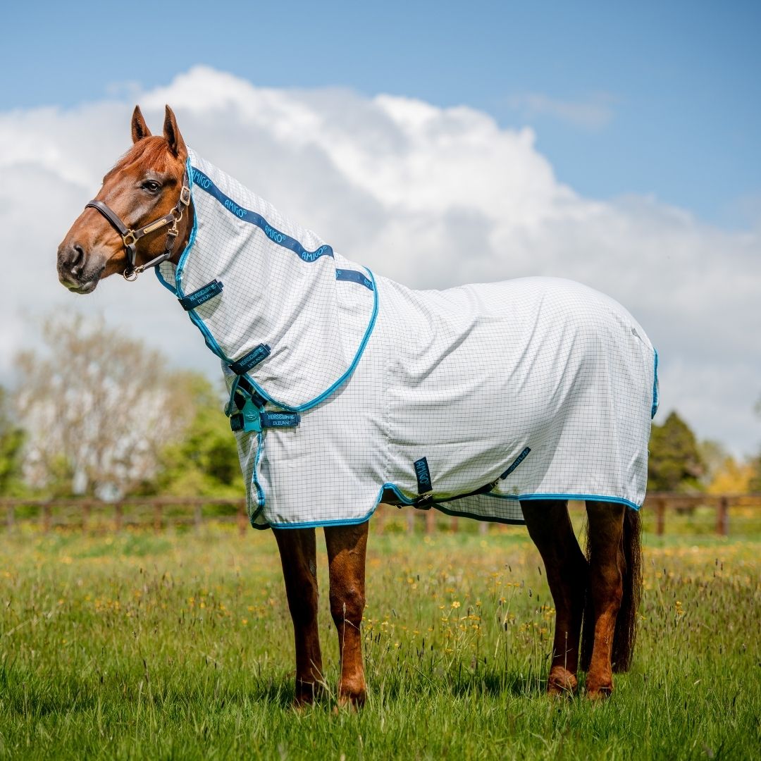 Horseware Amigo Aussie Allrounder Fly Rug in Blue Check/Electric Blue & Navy