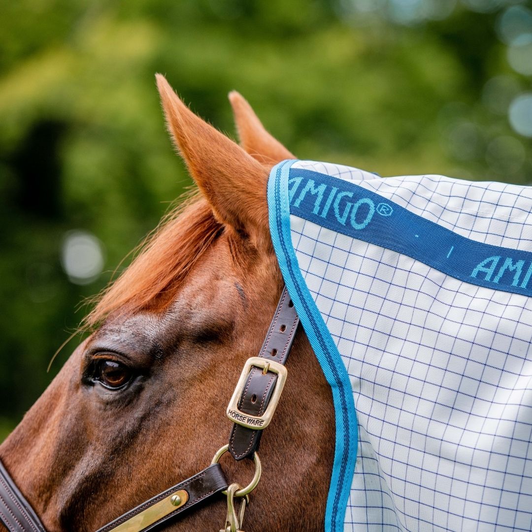 Horseware Amigo Aussie Allrounder Fly Rug in Blue Check/Electric Blue & Navy