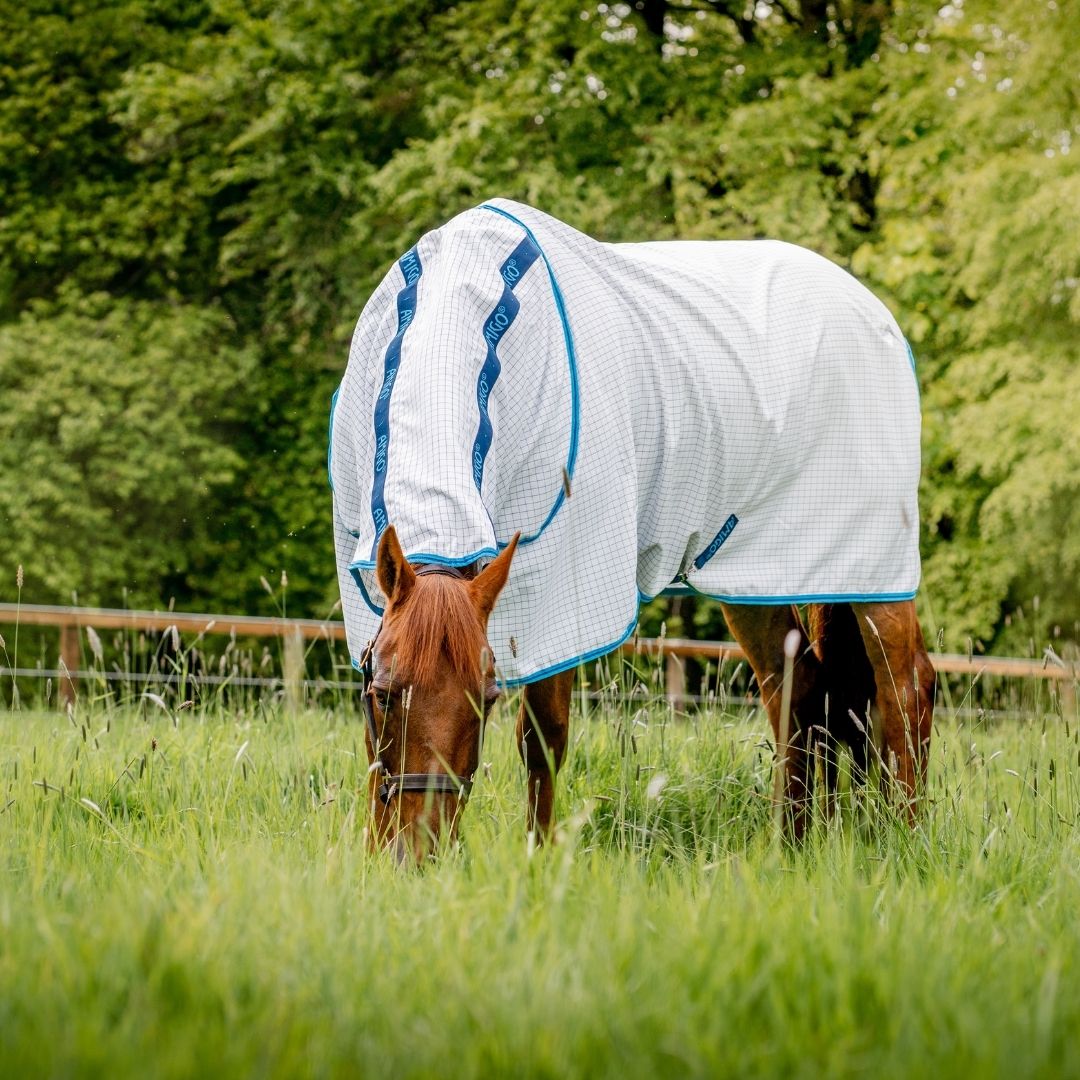 Horseware Amigo Aussie Allrounder Fly Rug in Blue Check/Electric Blue & Navy