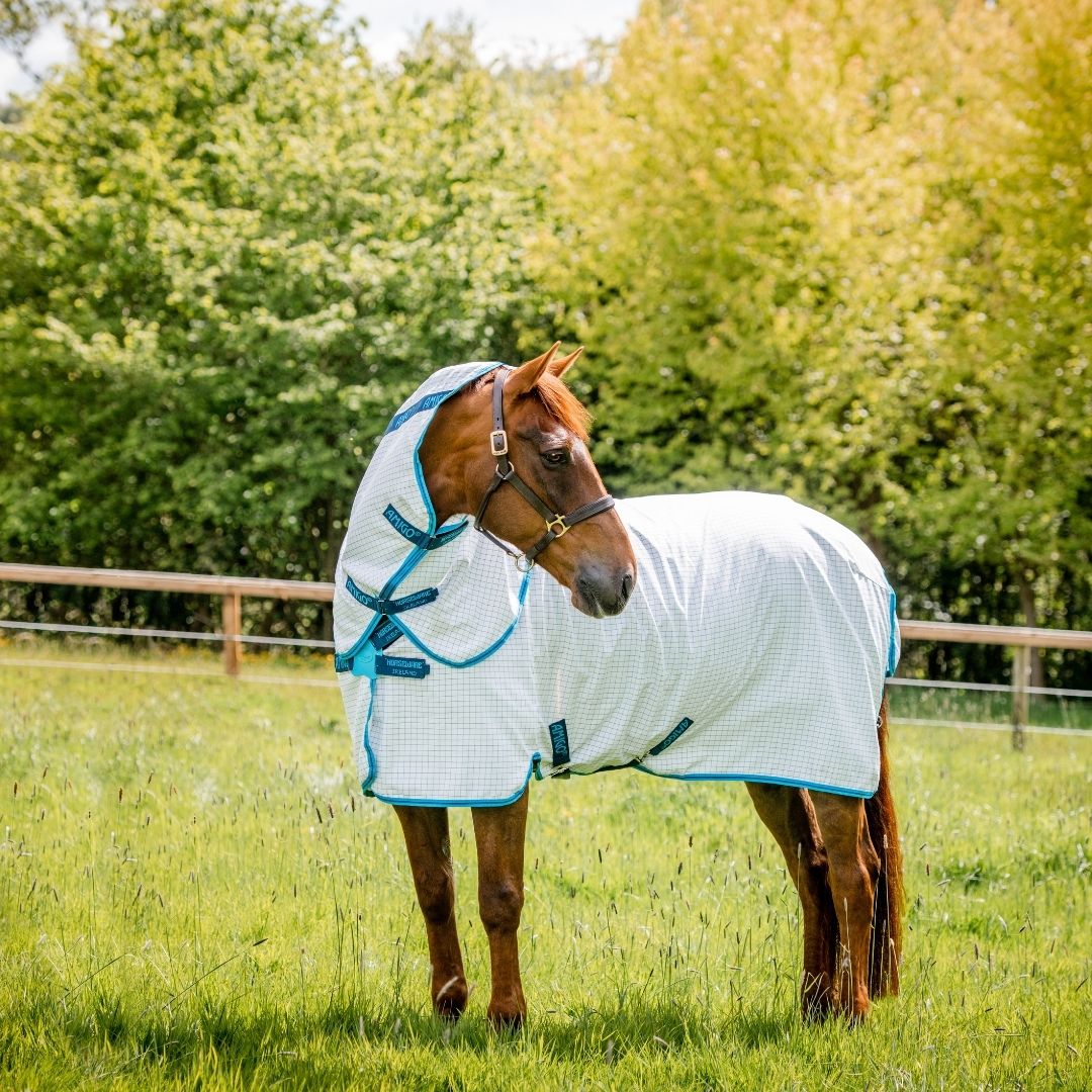 Horseware Amigo Aussie Allrounder Fly Rug in Blue Check/Electric Blue & Navy