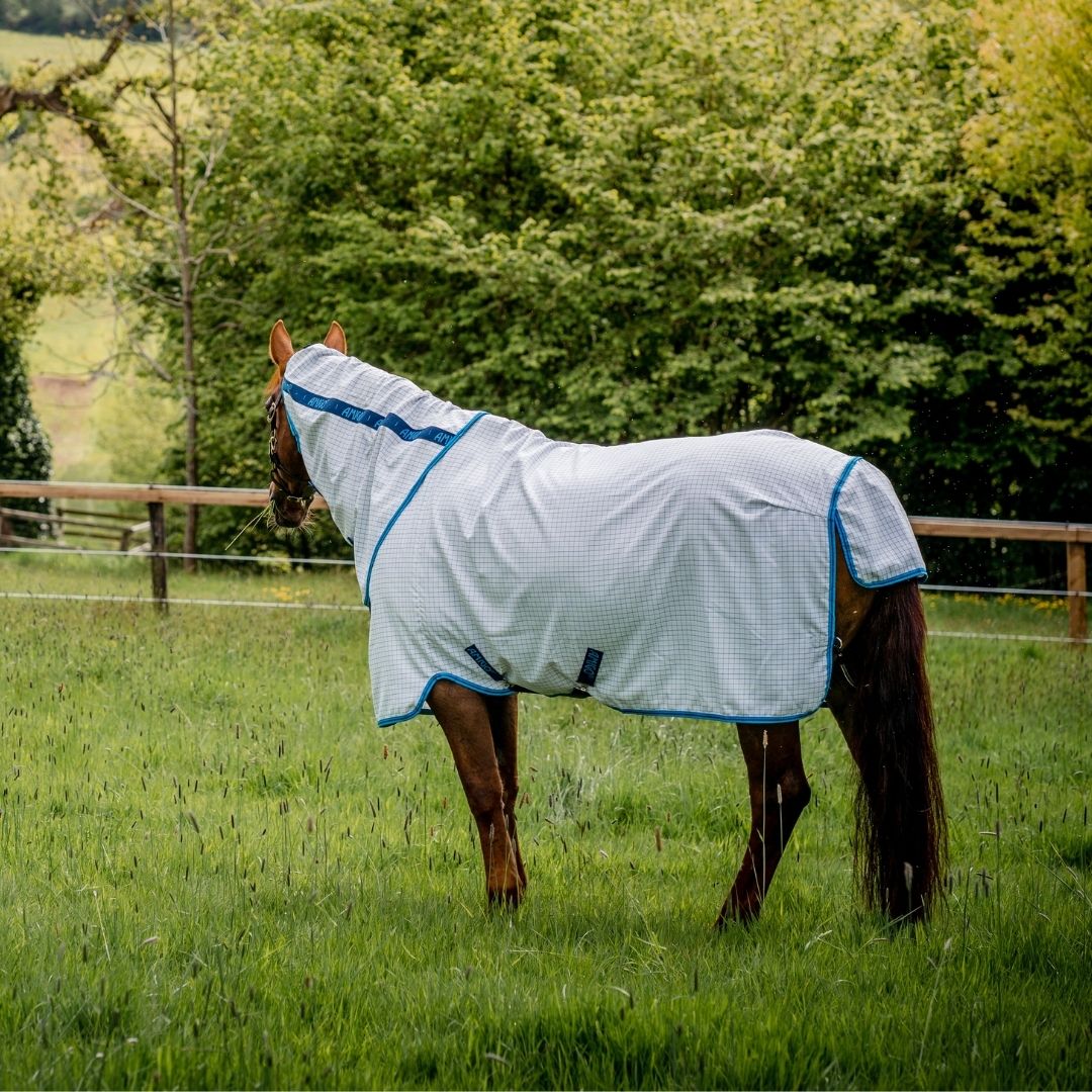 Horseware Amigo Aussie Allrounder Fly Rug in Blue Check/Electric Blue & Navy