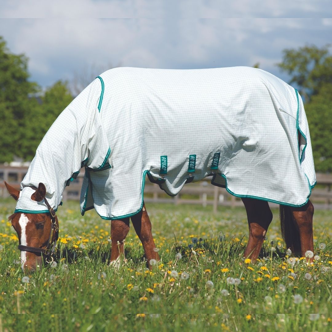 Horseware Amigo Aussie Allrounder Fly Rug in White & Green