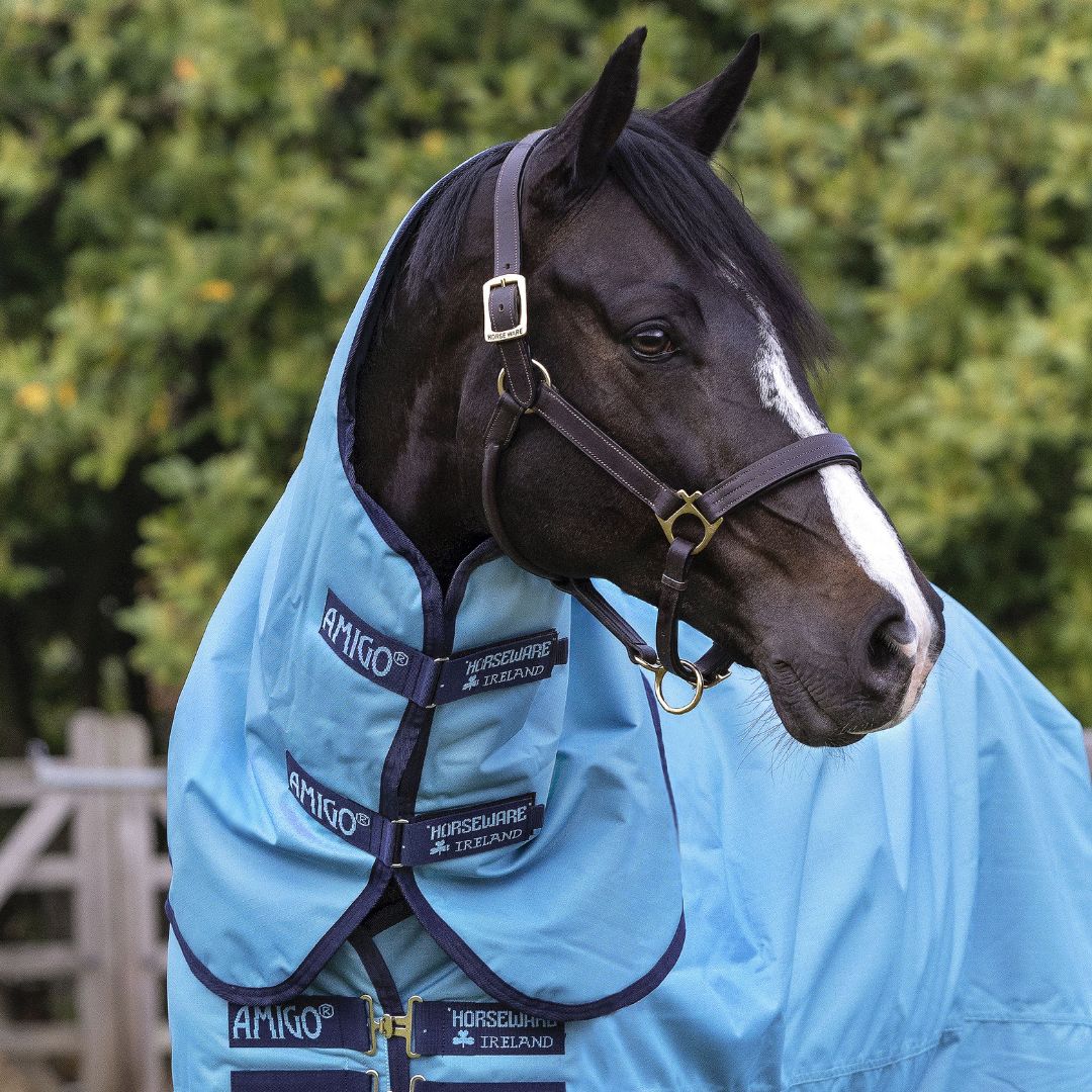 Horseware Amigo Hero Ripstop Plus Turnout Rug Lite in Delphinium Blue (100g)