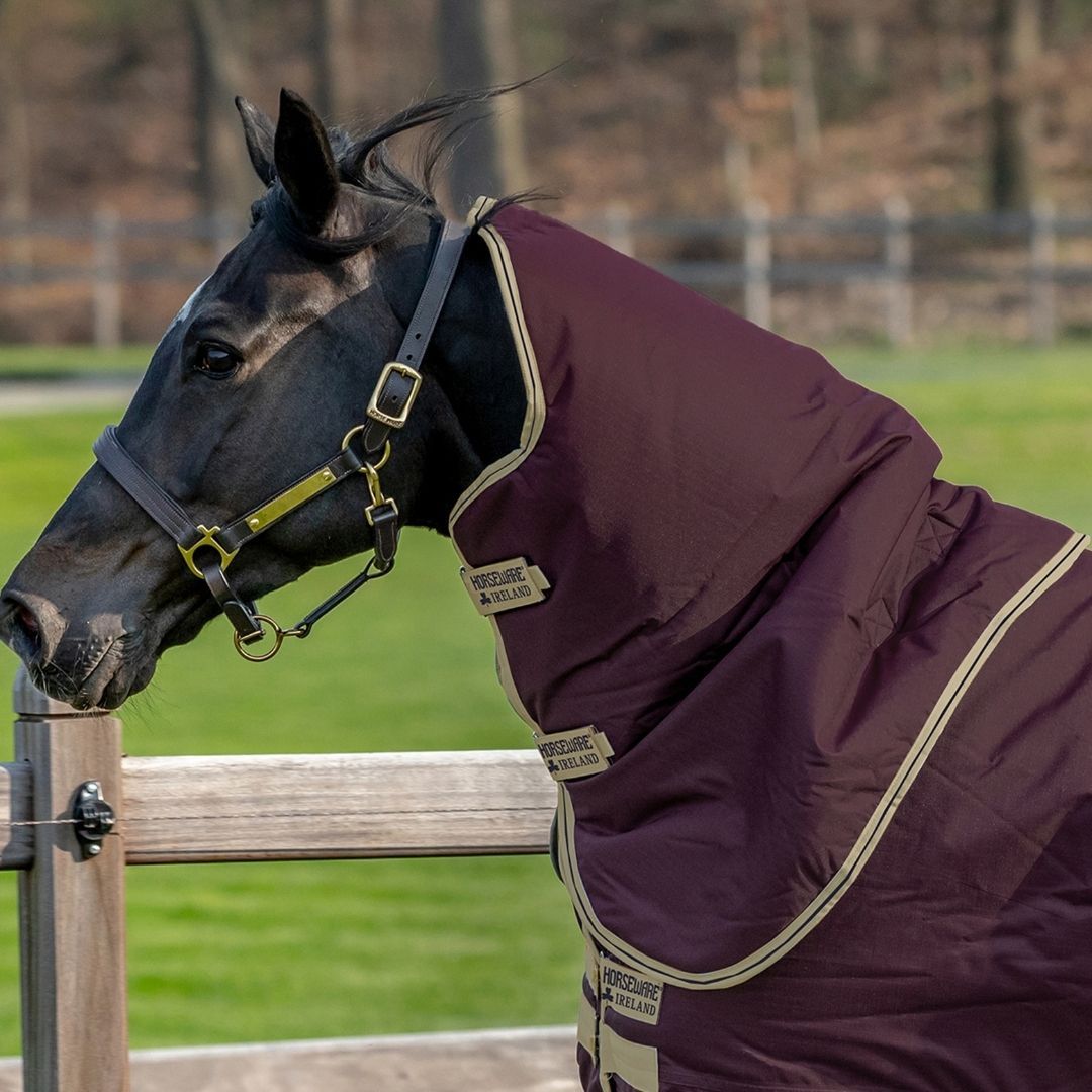 Horseware Amigo Hero Ripstop Plus Medium Turnout Rug in Fig (200g)