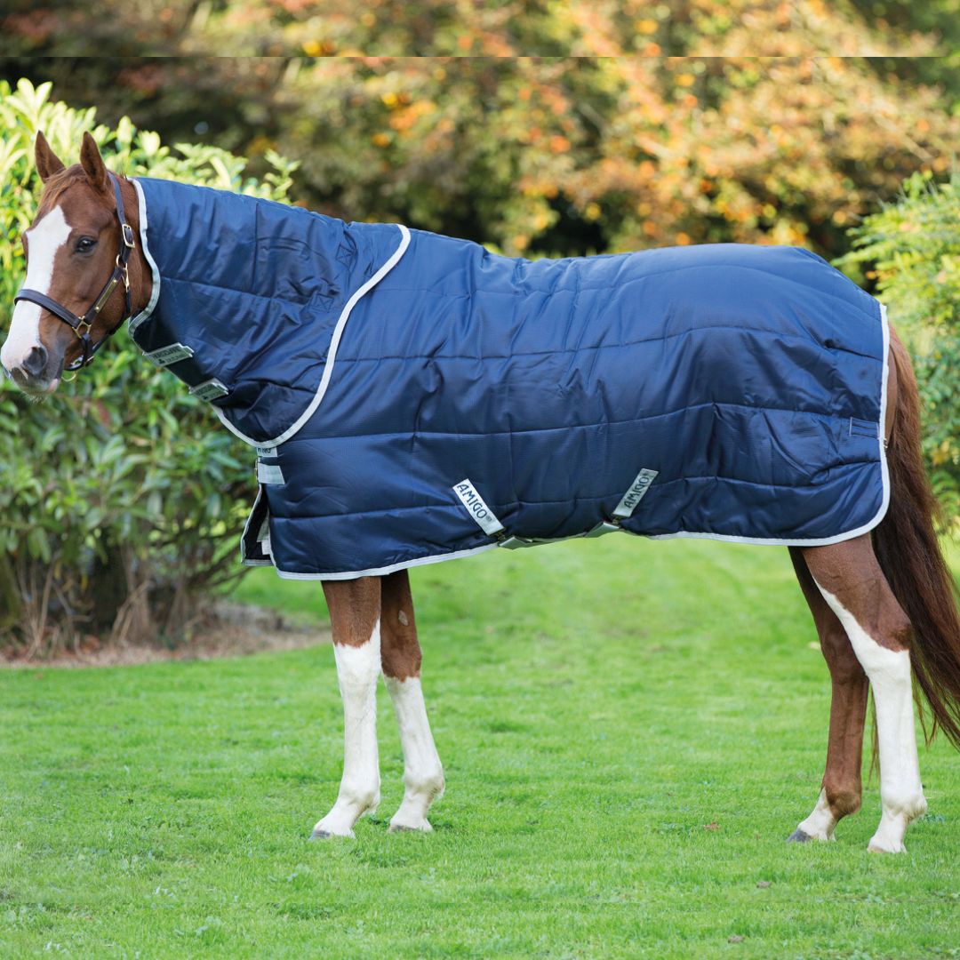 Horseware Amigo Insulator Medium Stable Rug in Navy (200g)