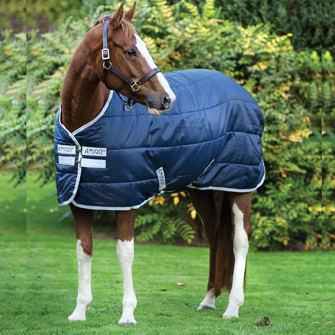 Horseware Amigo Insulator Medium Stable Rug in Navy (200g)