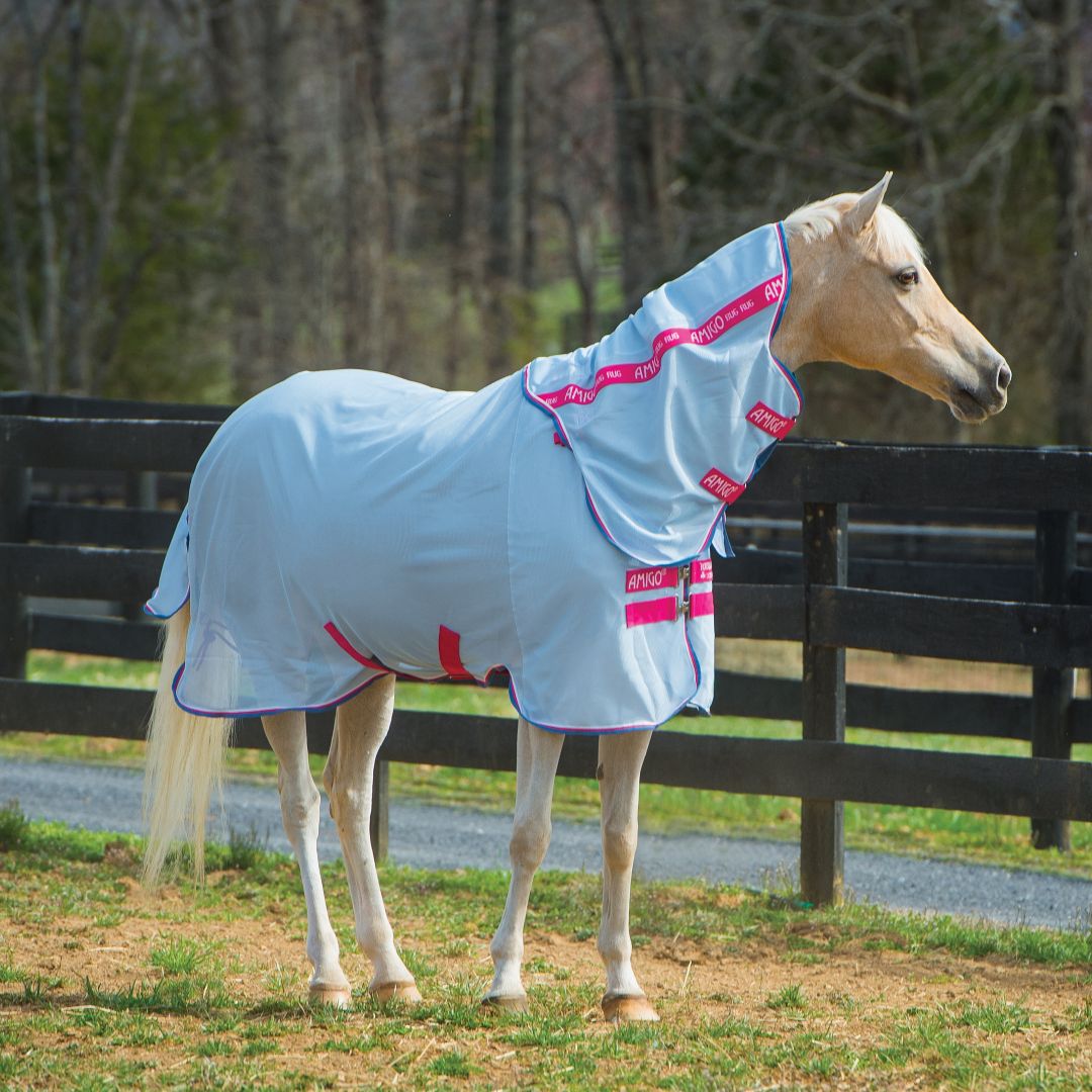 Horseware Amigo Pony Bug Rug in Azure Blue/White, Pink & Powder Blue