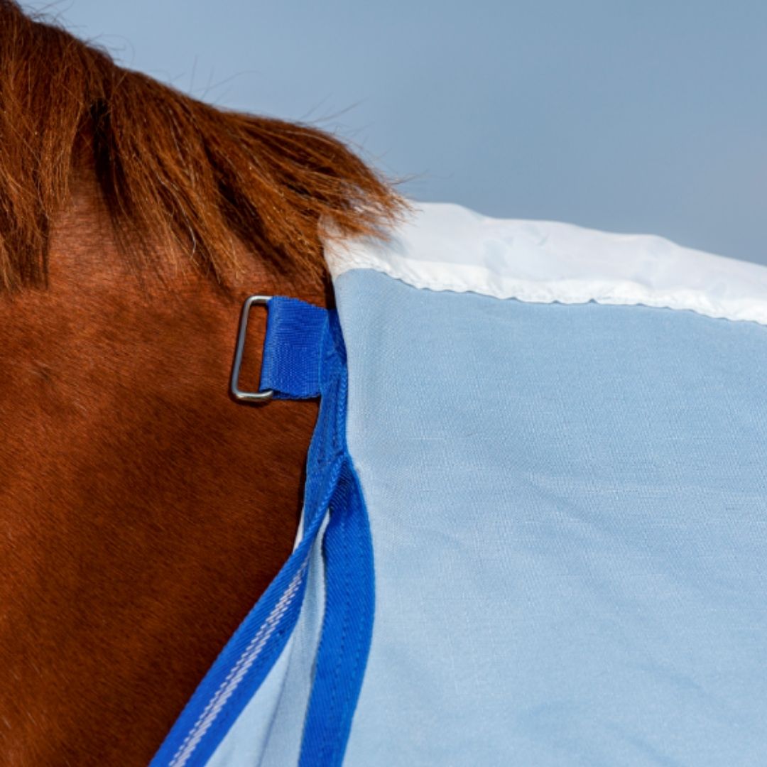 Horseware Amigo Pony Ripstop Hoody Rug in Azure Blue, Strong Blue & Silver