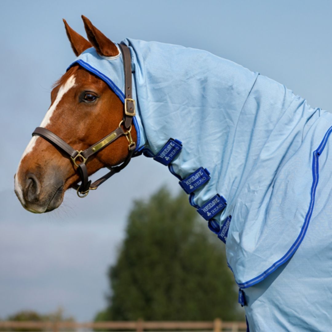 Horseware Amigo Pony Ripstop Hoody Rug in Azure Blue, Strong Blue & Silver