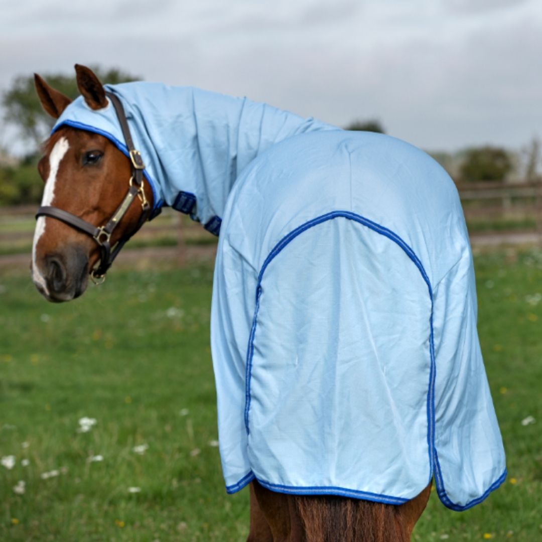 Horseware Amigo Pony Ripstop Hoody Rug in Azure Blue, Strong Blue & Silver