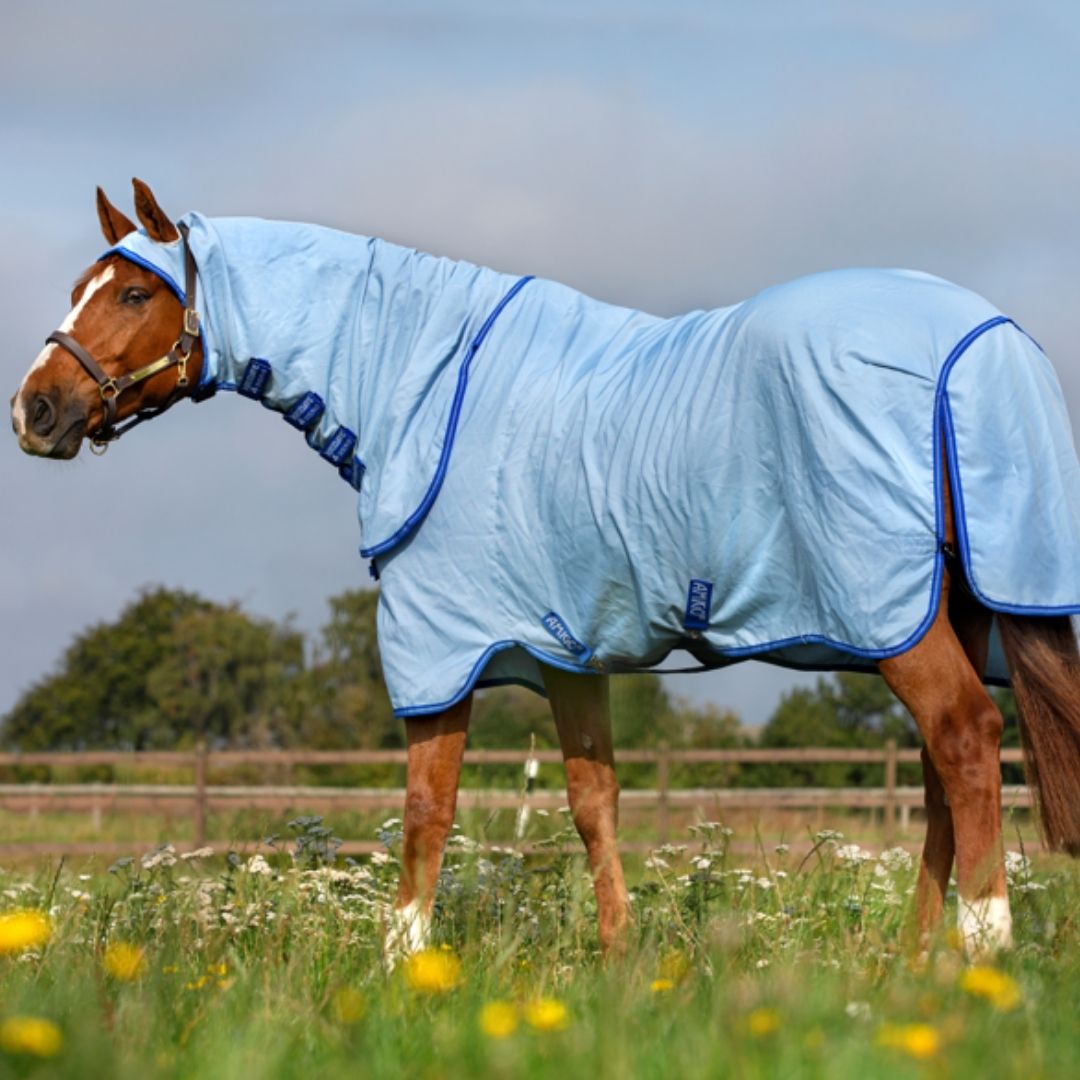 Horseware Amigo Pony Ripstop Hoody Rug in Azure Blue, Strong Blue & Silver