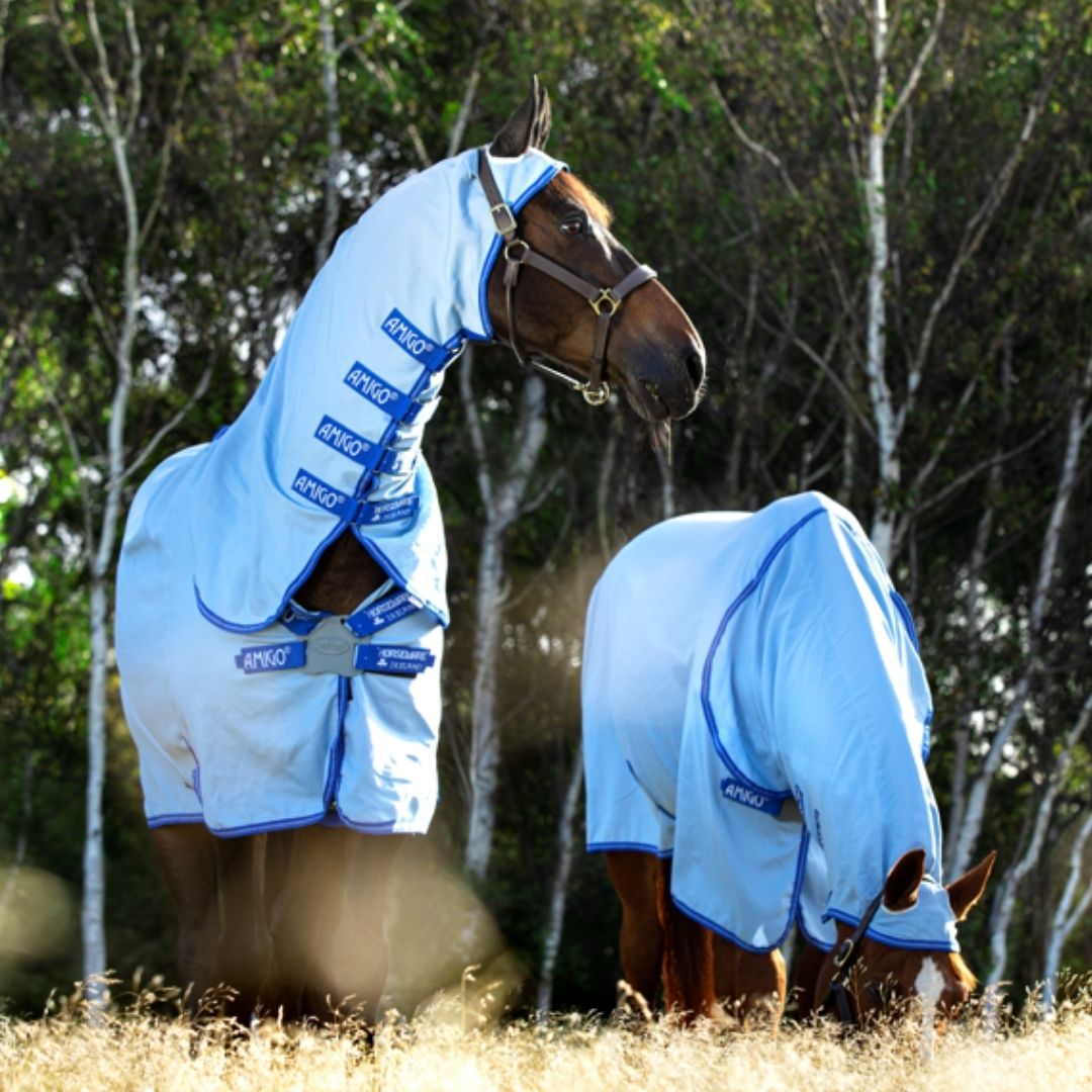 Horseware Amigo Pony Ripstop Hoody Rug in Azure Blue, Strong Blue & Silver