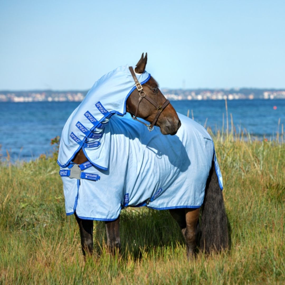 Horseware Amigo Pony Ripstop Hoody Rug in Azure Blue, Strong Blue & Silver
