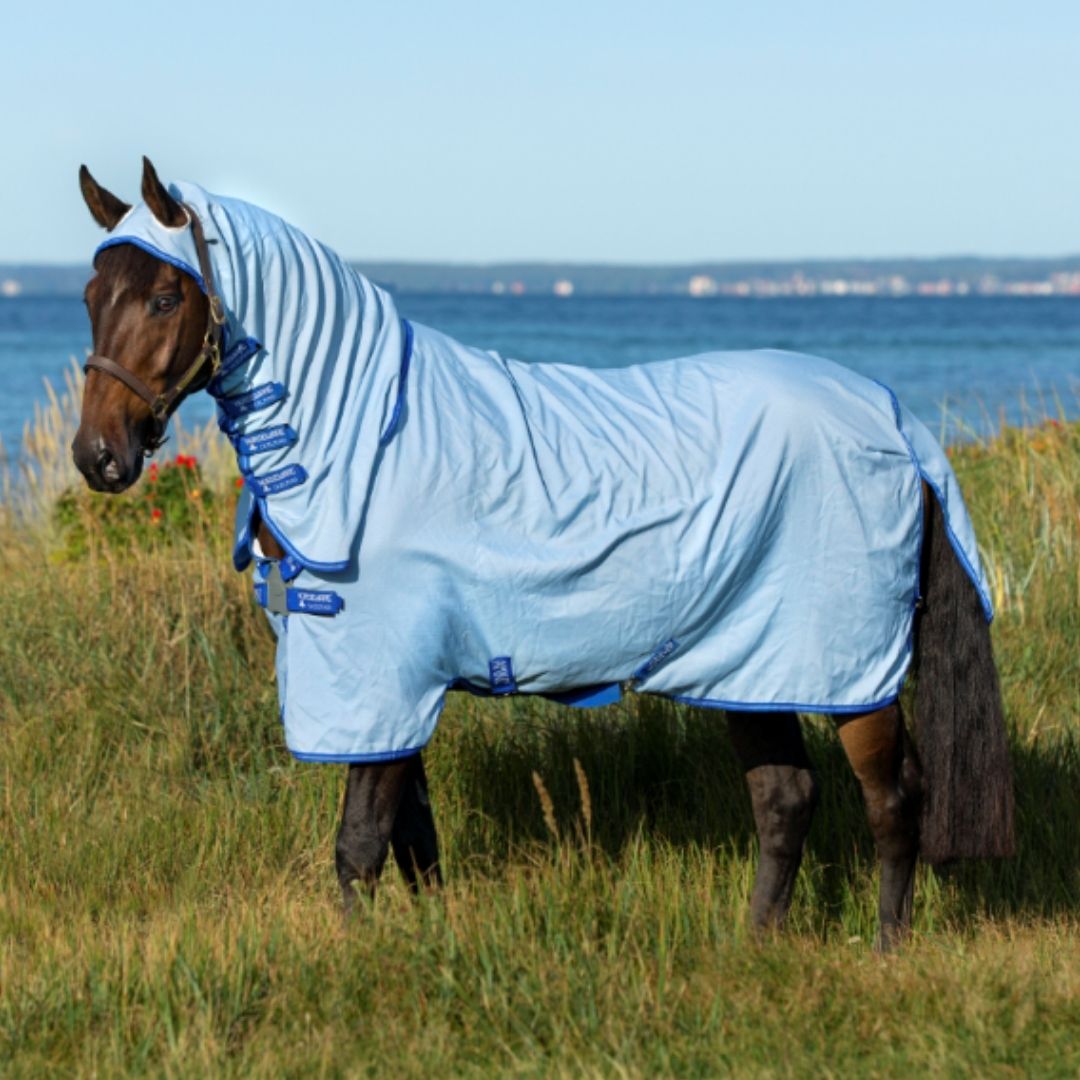 Horseware Amigo Pony Ripstop Hoody Rug in Azure Blue, Strong Blue & Silver
