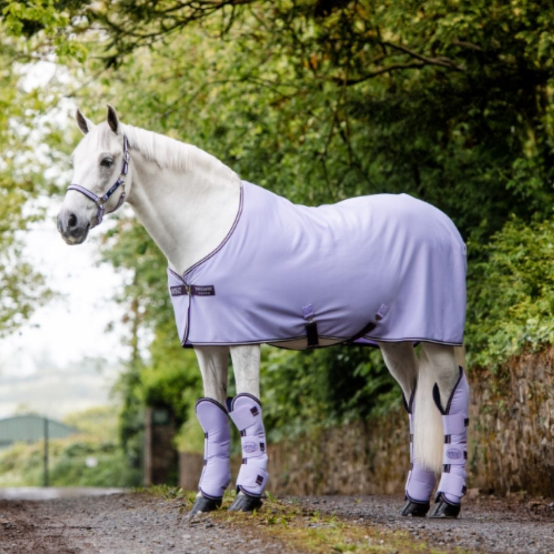 Horseware Amigo Jersey Pony Cooler in Lavender, Plum & Silver