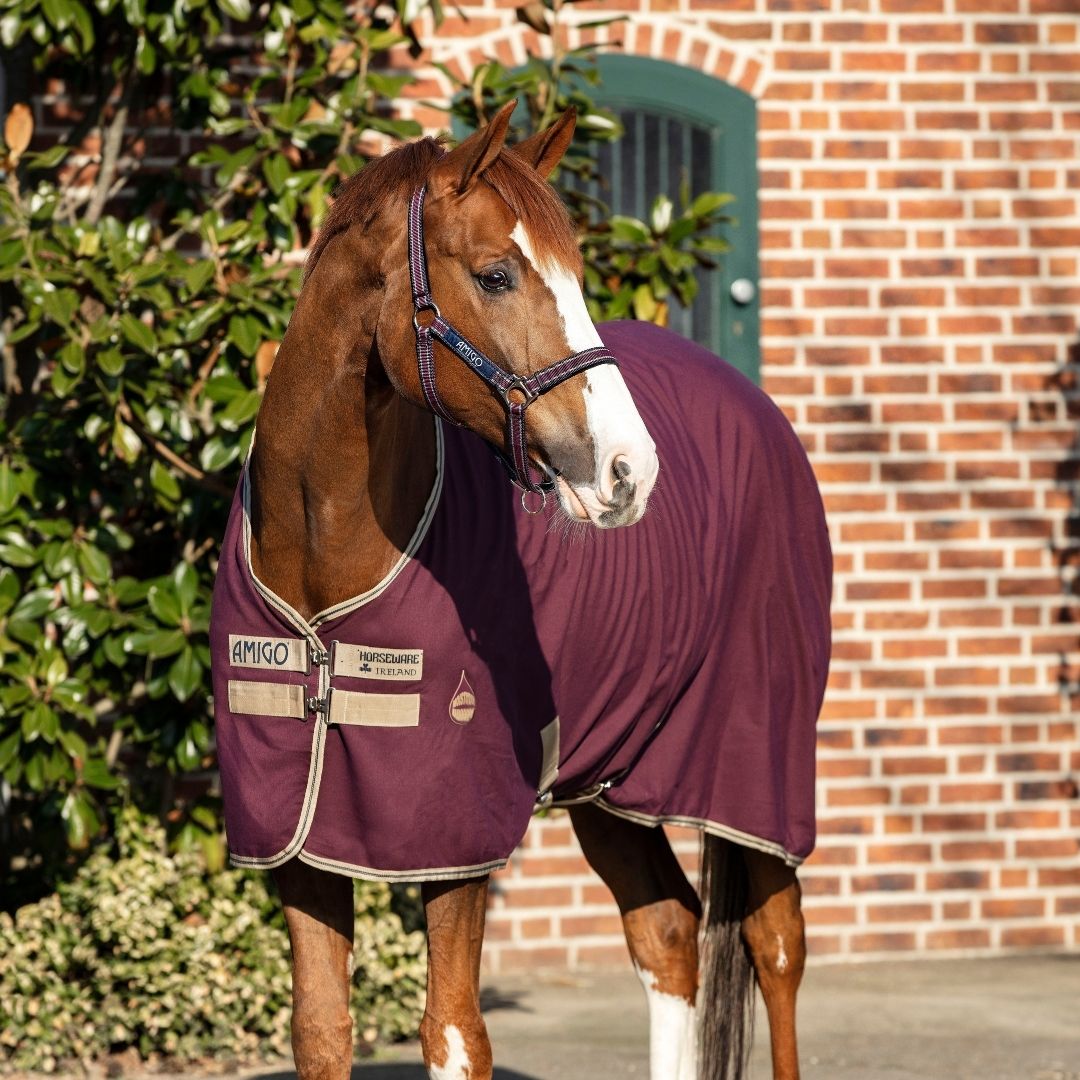 Horseware Amigo Stable Sheet X Sur Poly in Fig/Navy & Tan