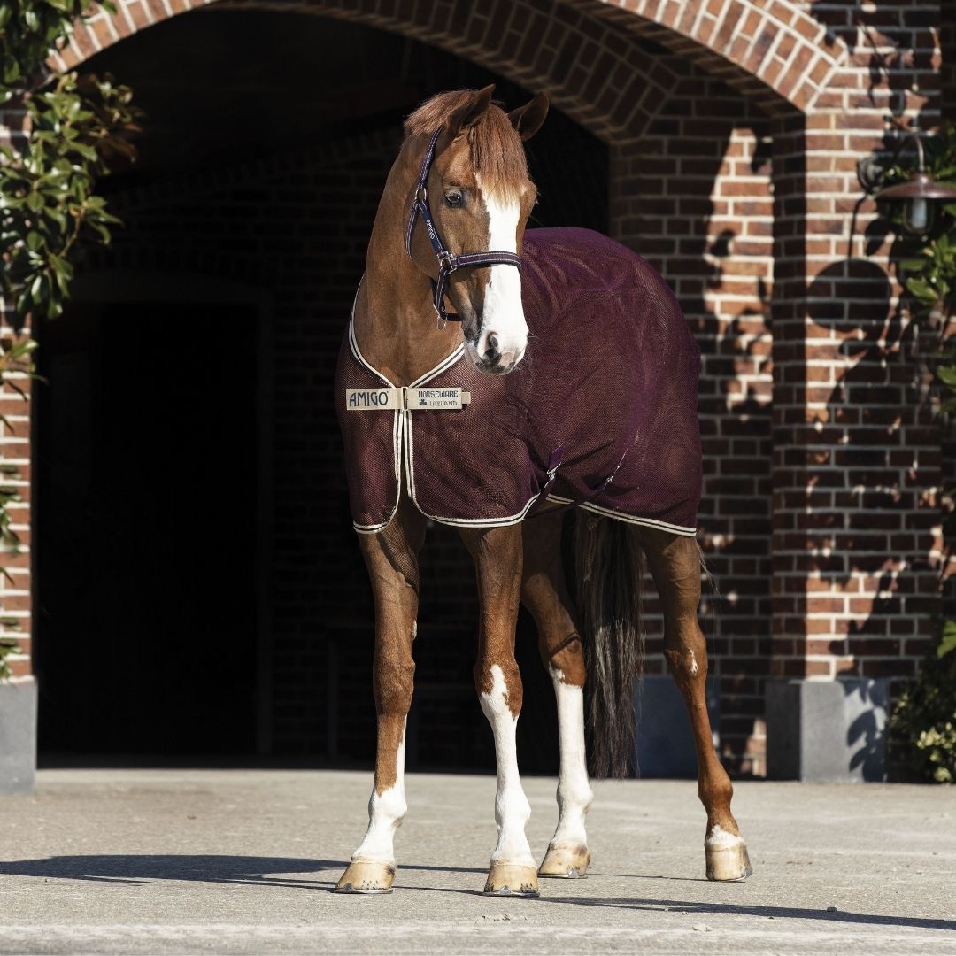 Horseware Amigo Stable Sheet X Sur Poly in Fig/Navy & Tan