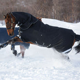 Horseware Amigo Super Bravo Plus Medium Turnout Rug in Black (250g)