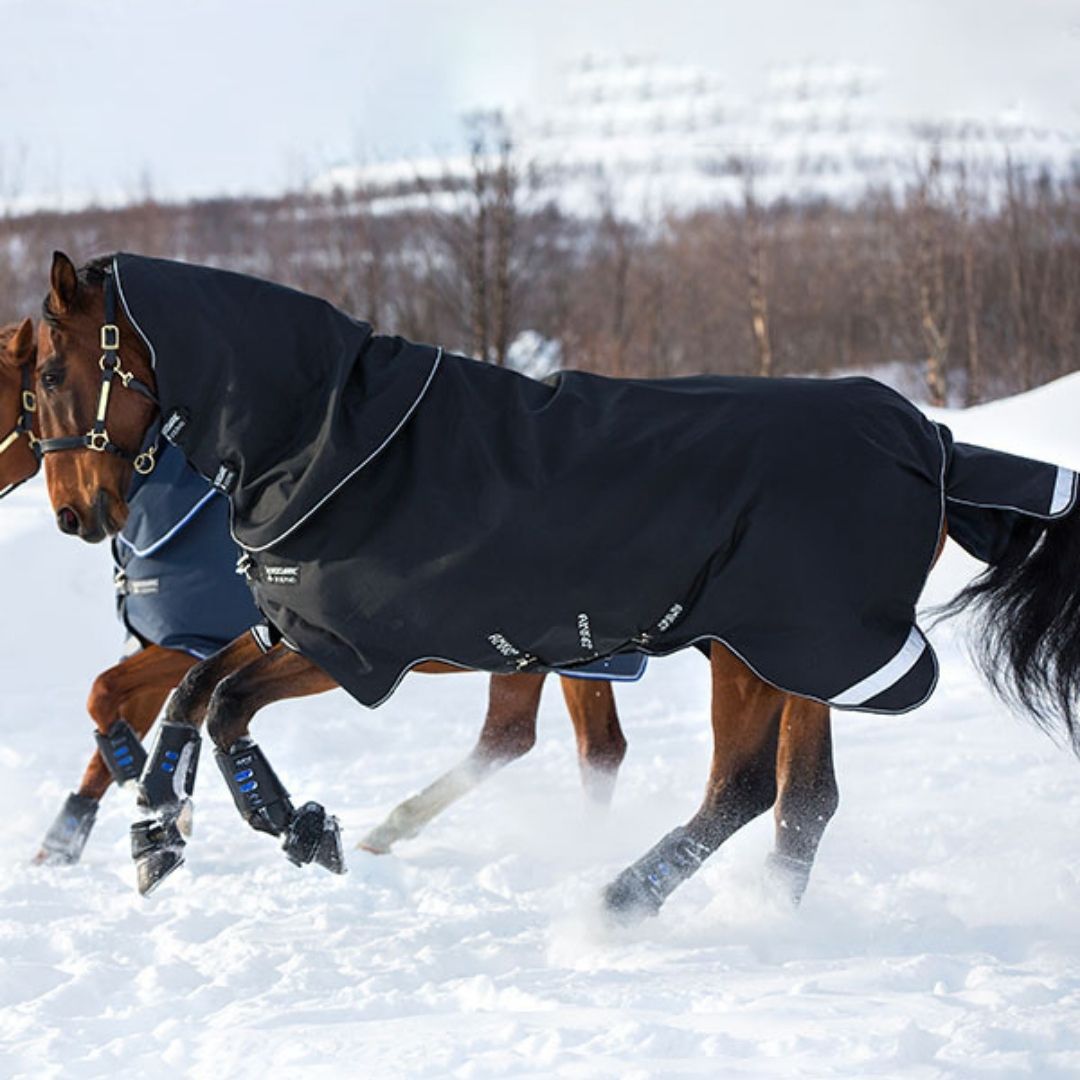 Horseware Amigo Super Bravo Plus Medium Turnout Rug in Black (250g)