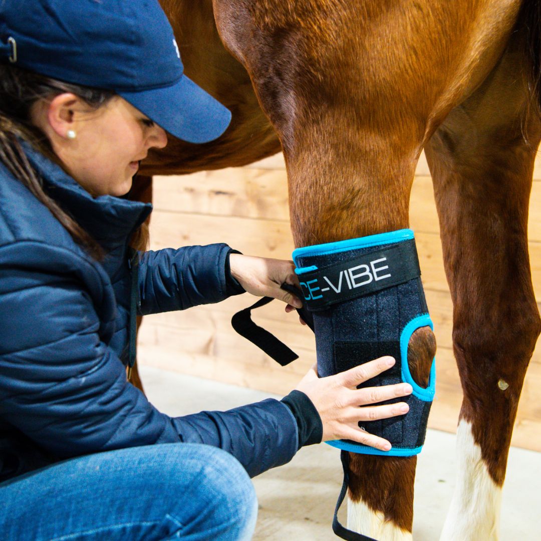 Horseware Ice-Vibe Hock Wrap
