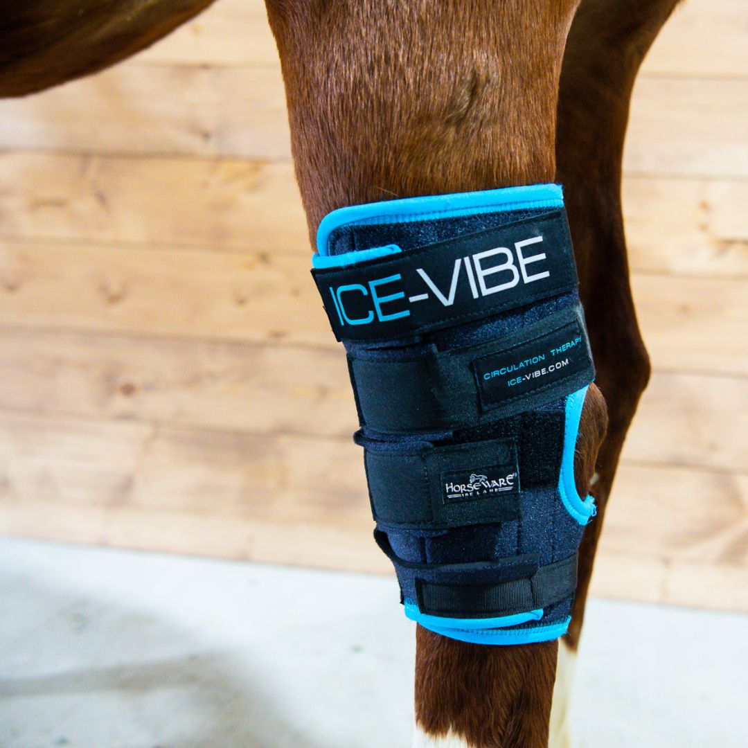 Horseware Ice-Vibe Hock Wrap