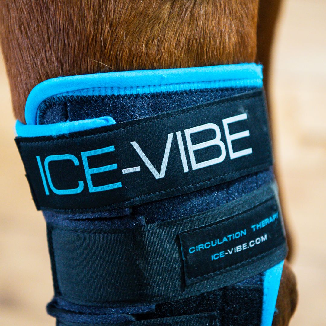 Horseware Ice-Vibe Hock Wrap