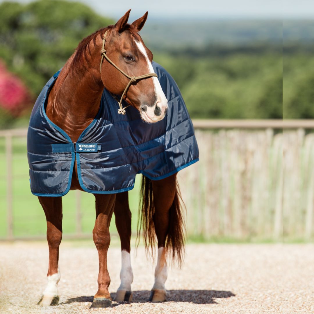 Horseware Liner Rug in Navy (100g)