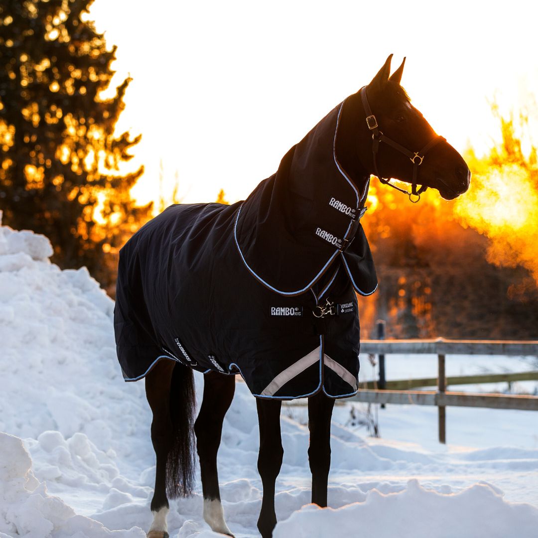 Horseware Rambo Duo Heavy Turnout Rug in Navy & Blue (100g Outer with 300g Liner)